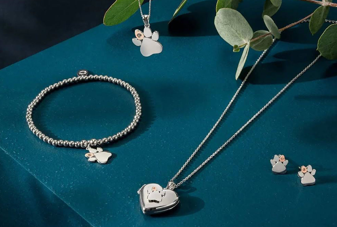 Clogau Gift Guide at Steffans