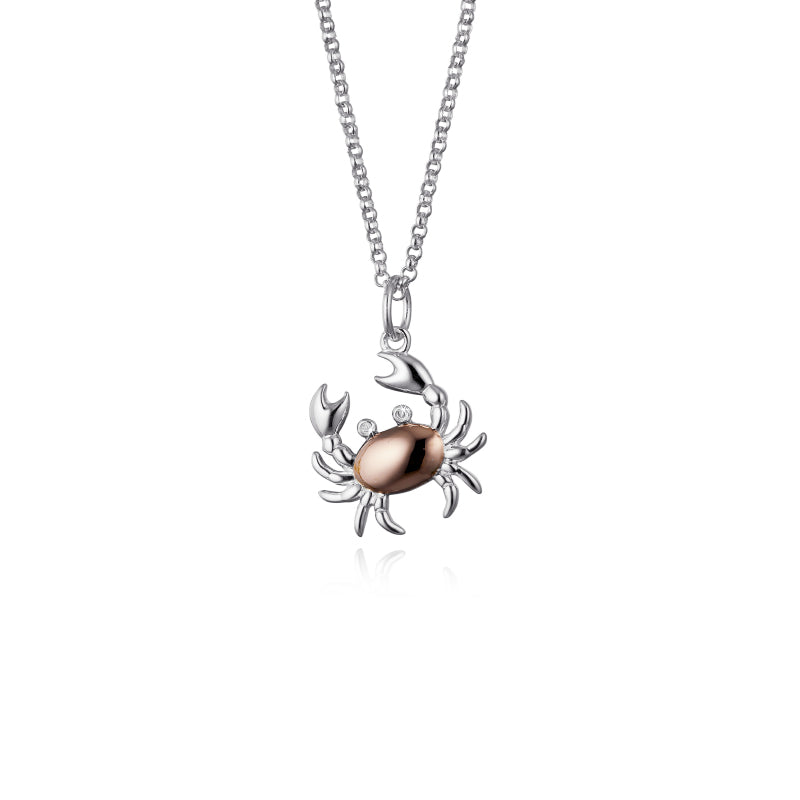 Steff Silver & Diamond Cancer Pendant