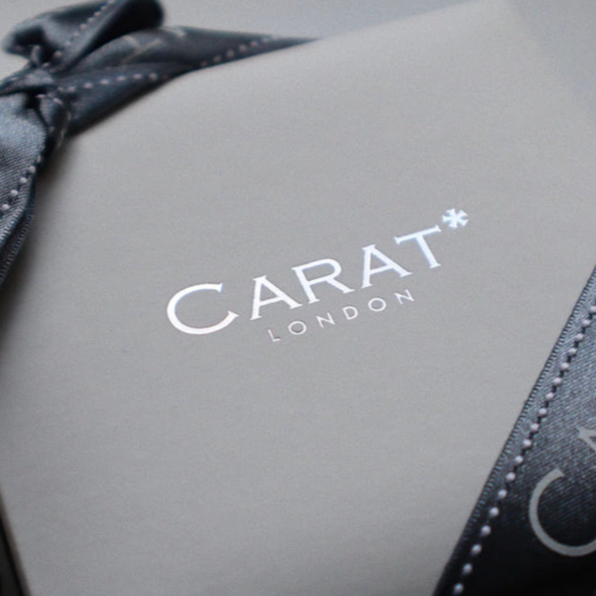 CARAT* London Sterling Silver Noa Earring