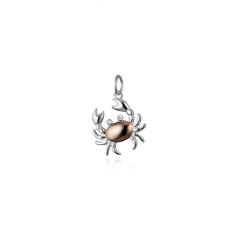 Steff Silver & Diamond Cancer Charm