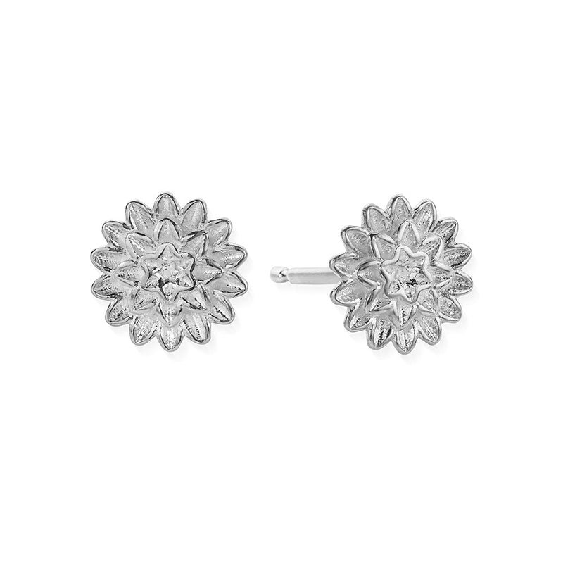 ChloBo Silver Botanical Beauty Stud Earrings - Steffans Jewellers