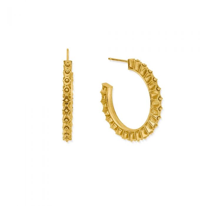 ChloBo Yellow Gold Plated Moonbeam Hoop Earrings - Steffans Jewellers