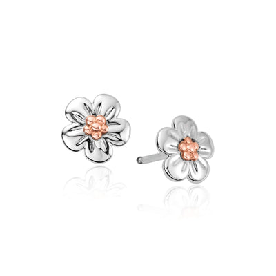 Clogau Forget Me Not Earrings - Steffans Jewellers