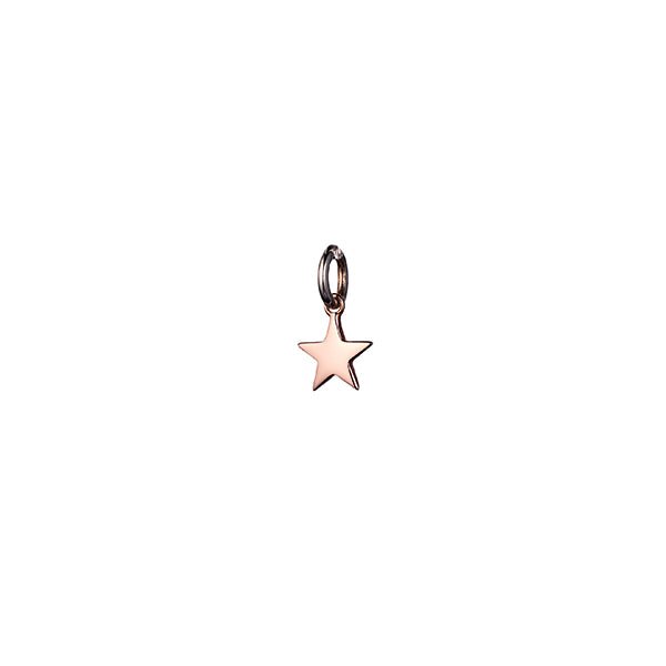 Steff Rose Gold Vermeil Mini Star Charm - Steffans Jewellers