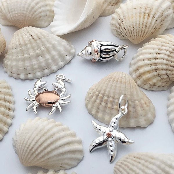 Steff Sterling Silver Shell Charm - Steffans Jewellers